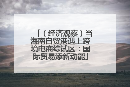 （经济观察）当海南自贸港遇上跨境电商综试区：国际贸易添新动能